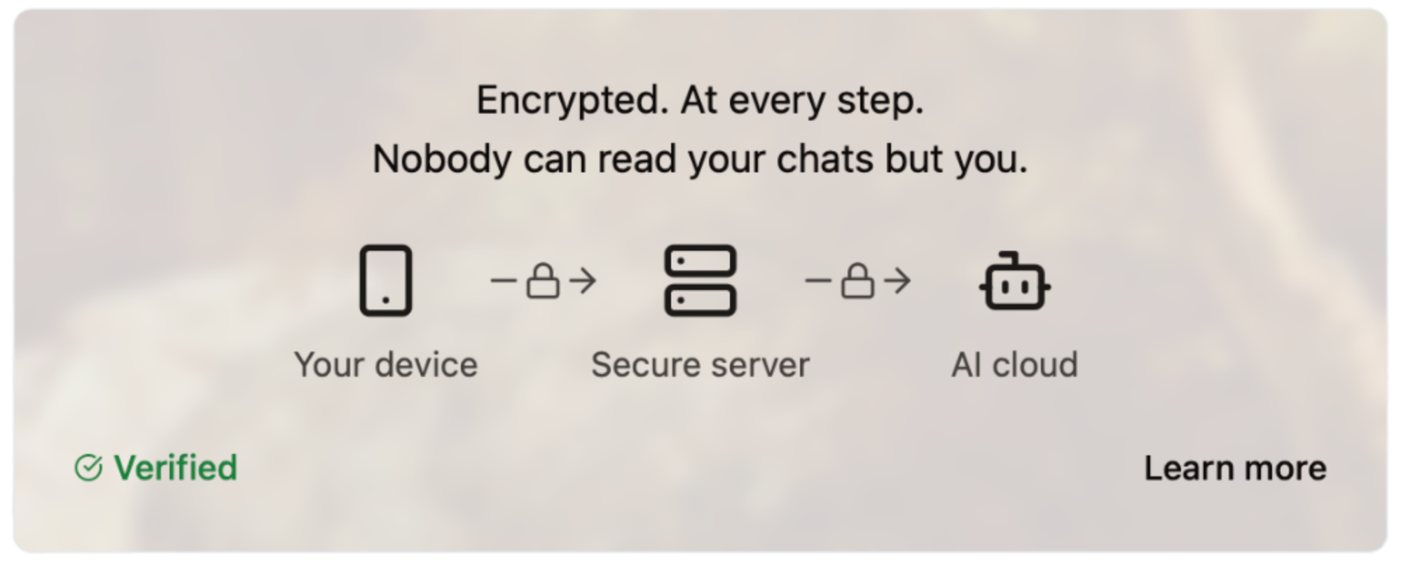 Diagram showing encryption from your device to the AI