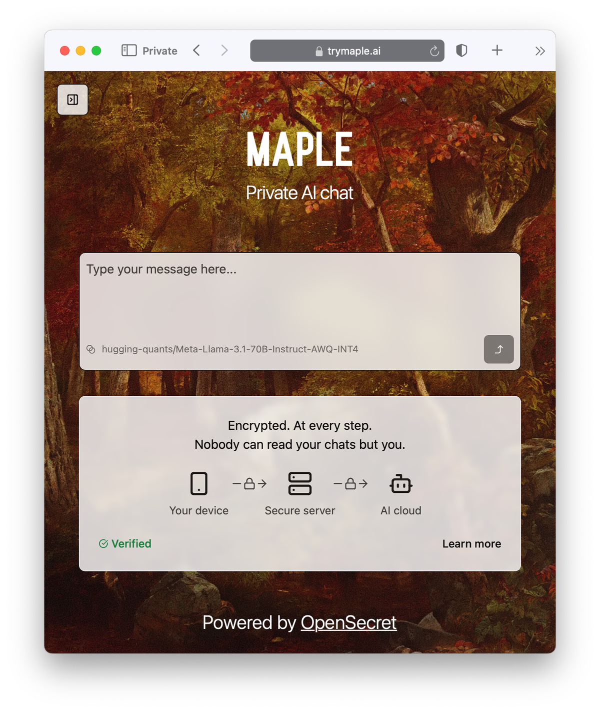 Introducing Maple AI - Private Chat Encrypted End to End